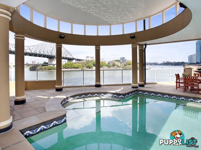 ID:3878281 8 Byron Street Bulimba QLD 4171