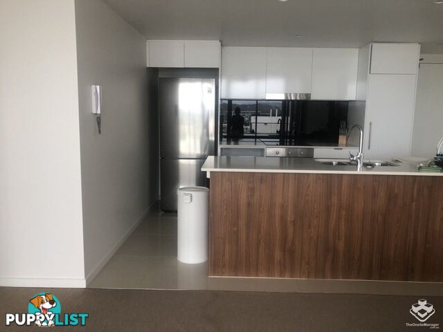ID:21157665 33 Lakefront Crescent Varsity Lakes QLD 4227