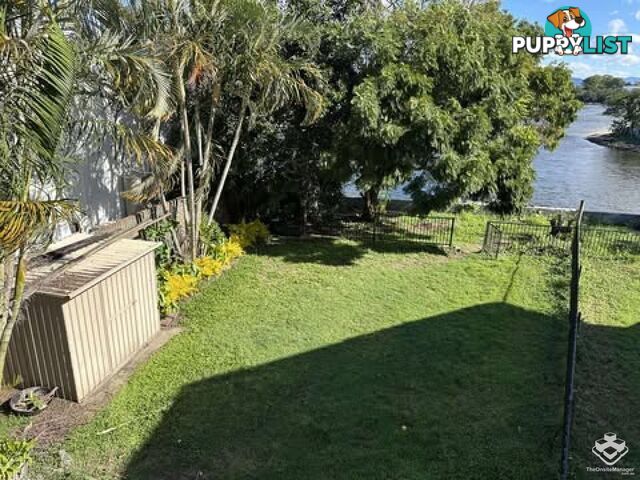 42 Markeri Street Mermaid Waters QLD 4218