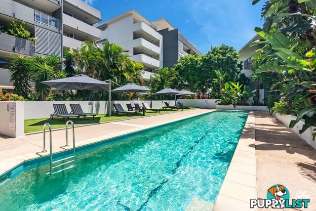 ID:21152967 95 Clarence Road INDOOROOPILLY QLD 4068