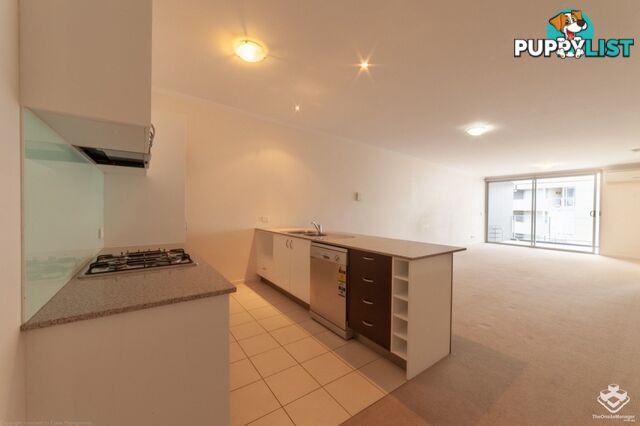 ID:21152967 95 Clarence Road INDOOROOPILLY QLD 4068
