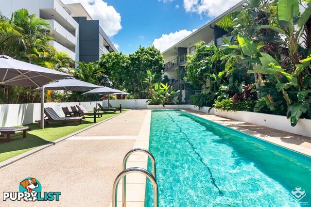 ID:21152967 95 Clarence Road INDOOROOPILLY QLD 4068