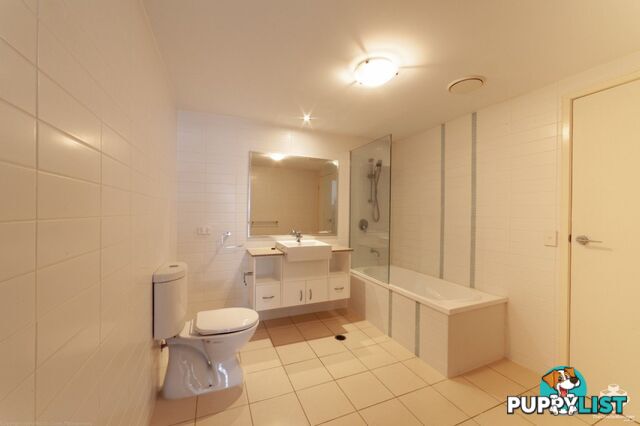 ID:21152967 95 Clarence Road INDOOROOPILLY QLD 4068