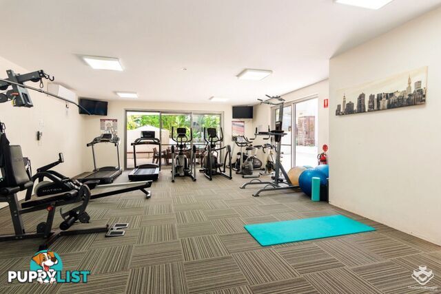 ID:21152967 95 Clarence Road INDOOROOPILLY QLD 4068