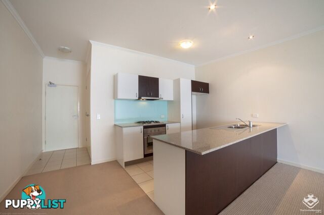 ID:21152967 95 Clarence Road INDOOROOPILLY QLD 4068