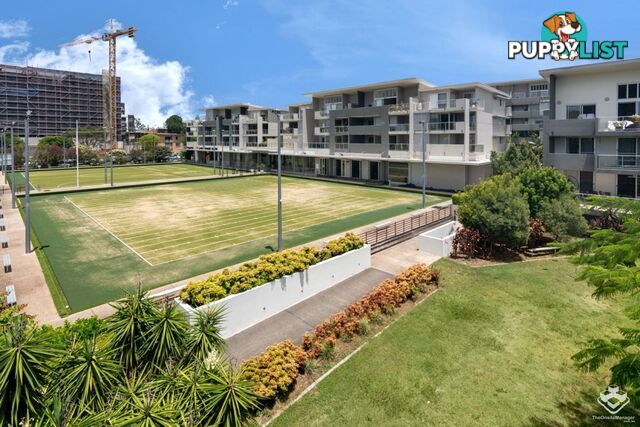 ID:21152967 59 Keating St INDOOROOPILLY qld 4068