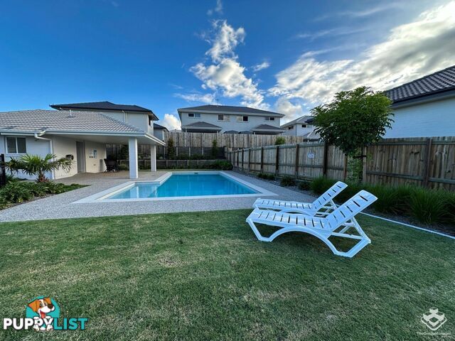 ID:21141518/16 Nigella Street Dakabin QLD 4503