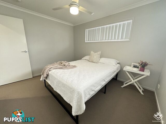 ID:21141518/16 Nigella Street Dakabin QLD 4503