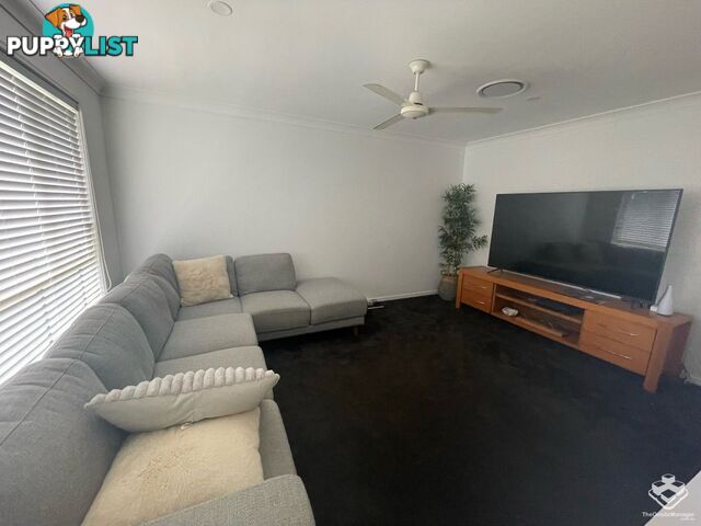 11 Monarch Avenue Upper Coomera QLD 4209