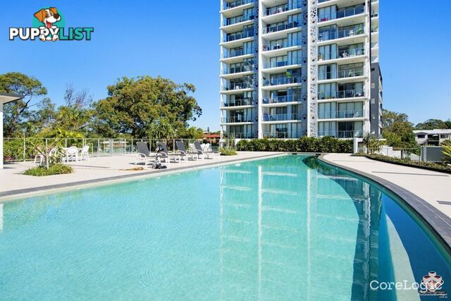 ID:21157915 388 Marine Parade Labrador QLD 4215