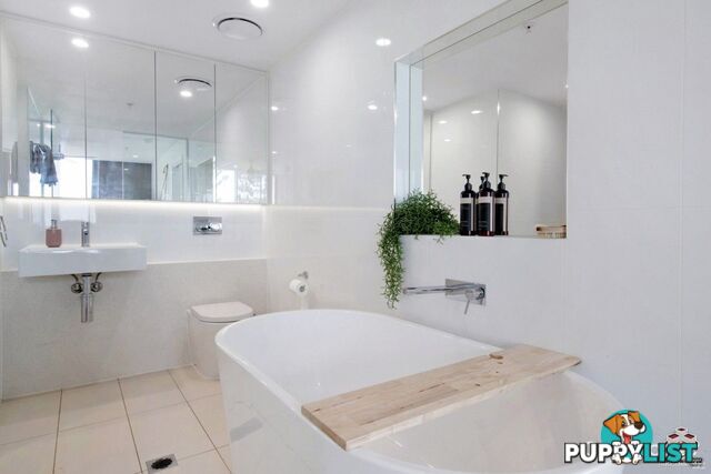 ID:21157915 388 Marine Parade Labrador QLD 4215