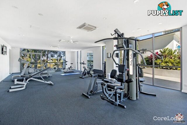 ID:21157915 388 Marine Parade Labrador QLD 4215