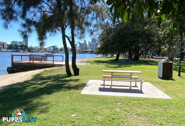 ID:21152218 40 Riverview Parade Surfers Paradise QLD 4217