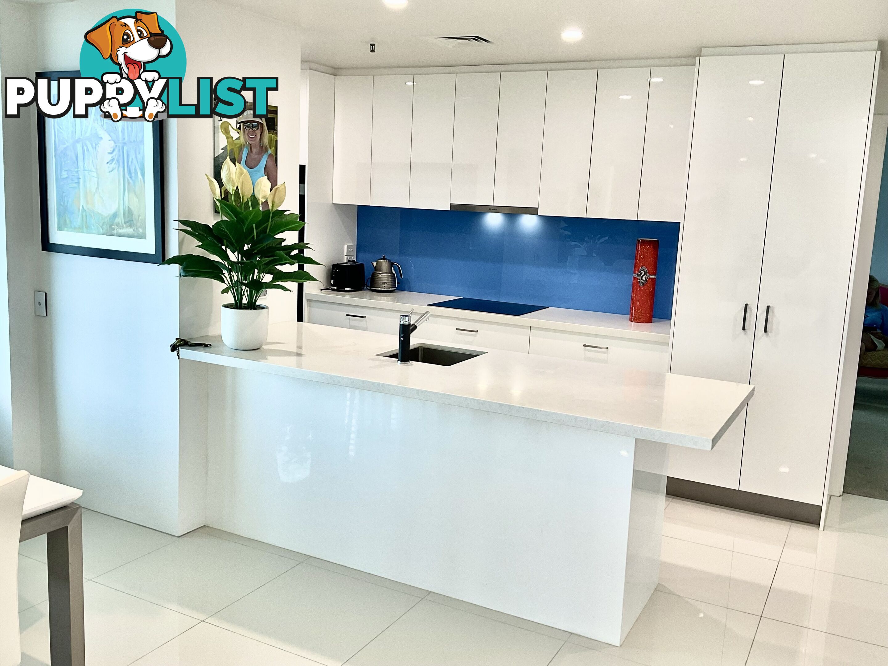 ID:21152218 40 Riverview Parade Surfers Paradise QLD 4217