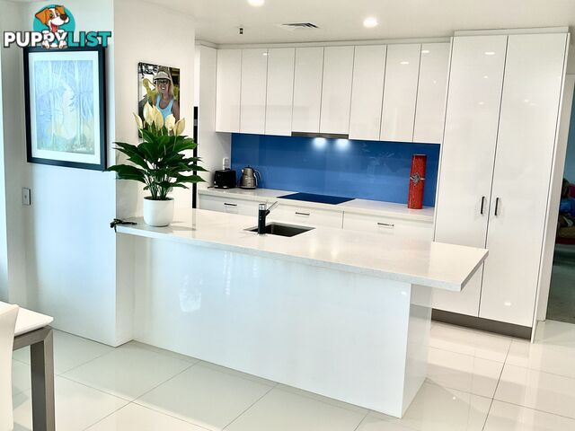 ID:21152218 40 Riverview Parade Surfers Paradise QLD 4217