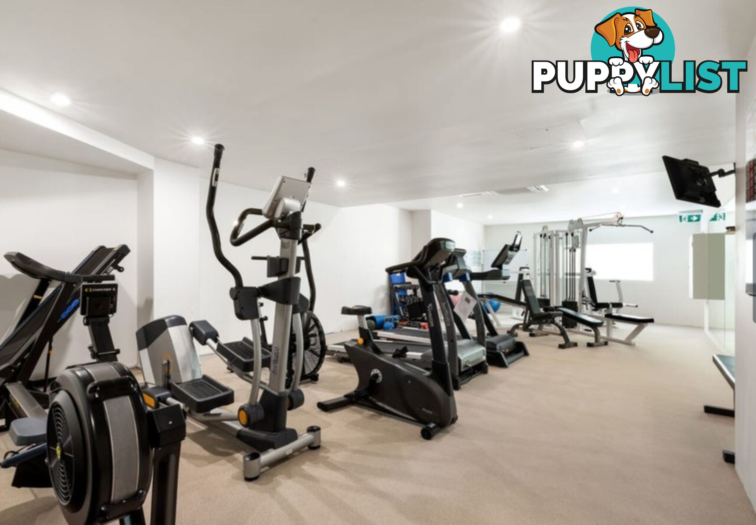 ID:21152218 40 Riverview Parade Surfers Paradise QLD 4217