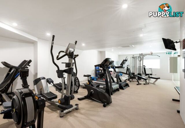 ID:21152218 40 Riverview Parade Surfers Paradise QLD 4217