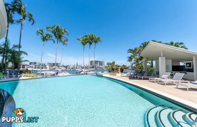 ID:21152218 40 Riverview Parade Surfers Paradise QLD 4217
