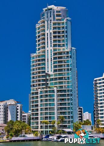 ID:21152218 40 Riverview Parade Surfers Paradise QLD 4217