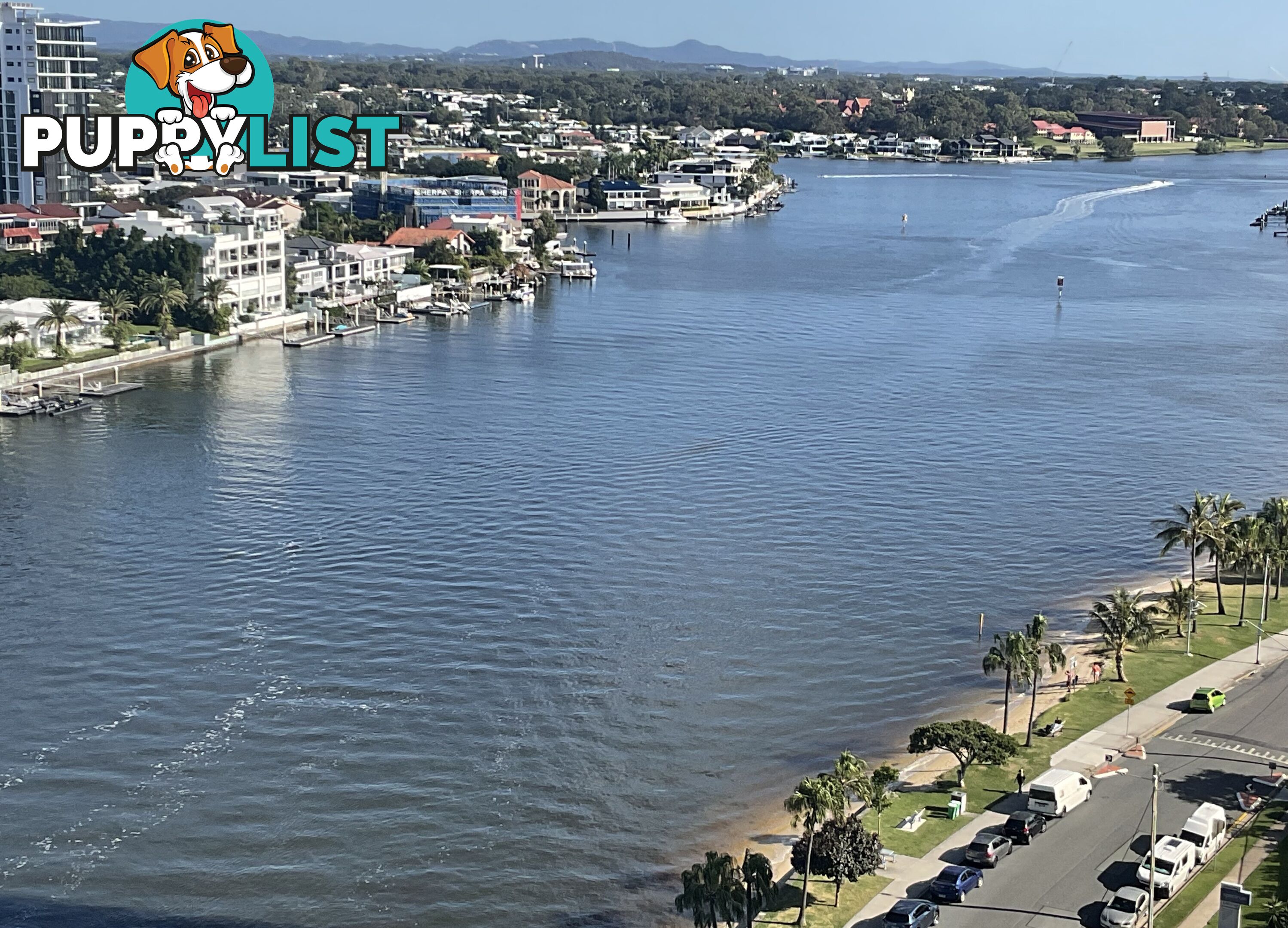 ID:21152218 40 Riverview Parade Surfers Paradise QLD 4217