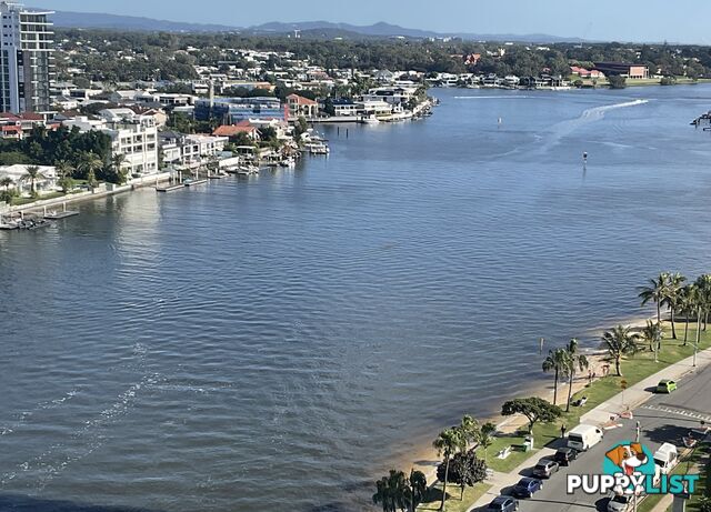 ID:21152218 40 Riverview Parade Surfers Paradise QLD 4217
