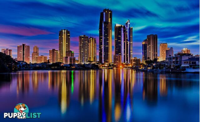 ID:21152218 40 Riverview Parade Surfers Paradise QLD 4217