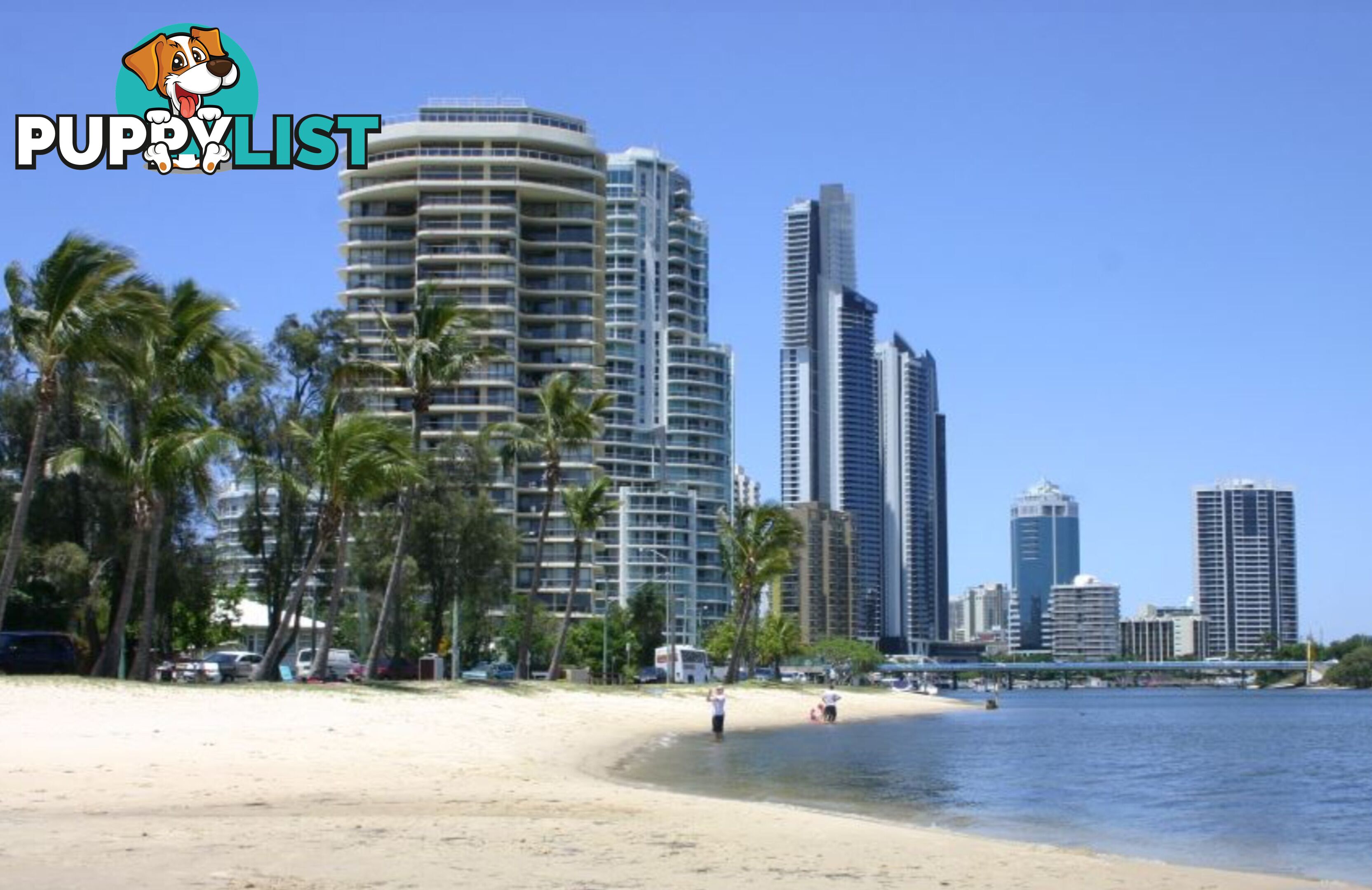ID:21152218 40 Riverview Parade Surfers Paradise QLD 4217