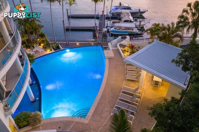 ID:21152218 40 Riverview Parade Surfers Paradise QLD 4217