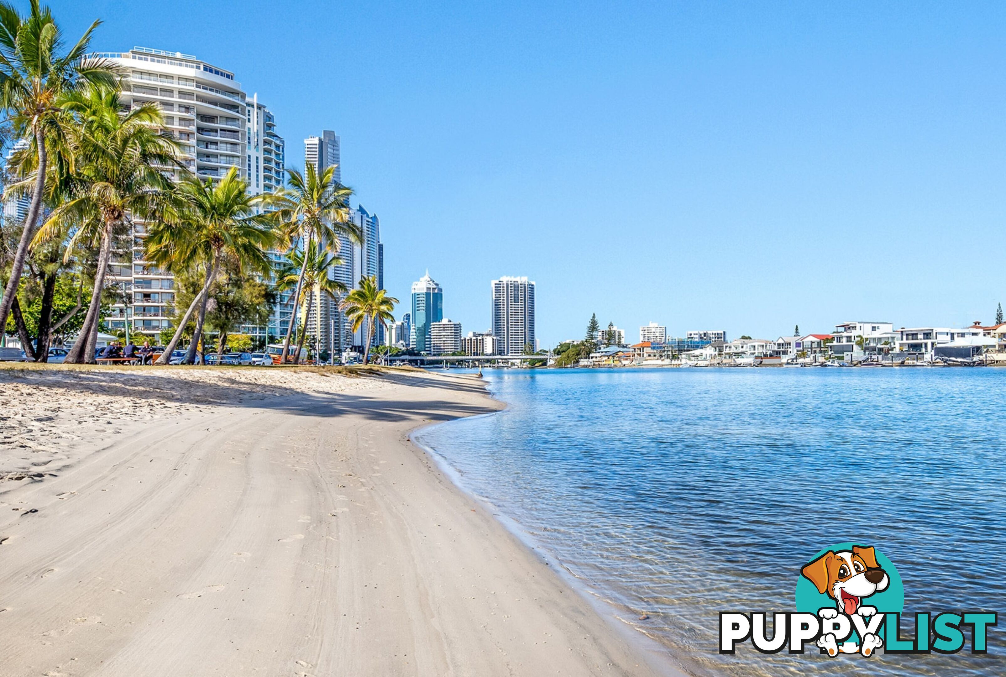 ID:21152218 40 Riverview Parade Surfers Paradise QLD 4217