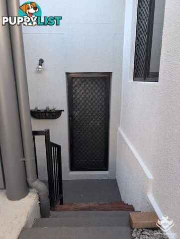 Unit 29/250 Sumners Road Riverhills QLD 4074