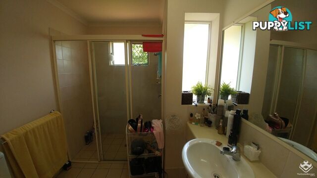 ID:21155288 139 Pring Street Hendra QLD 4011