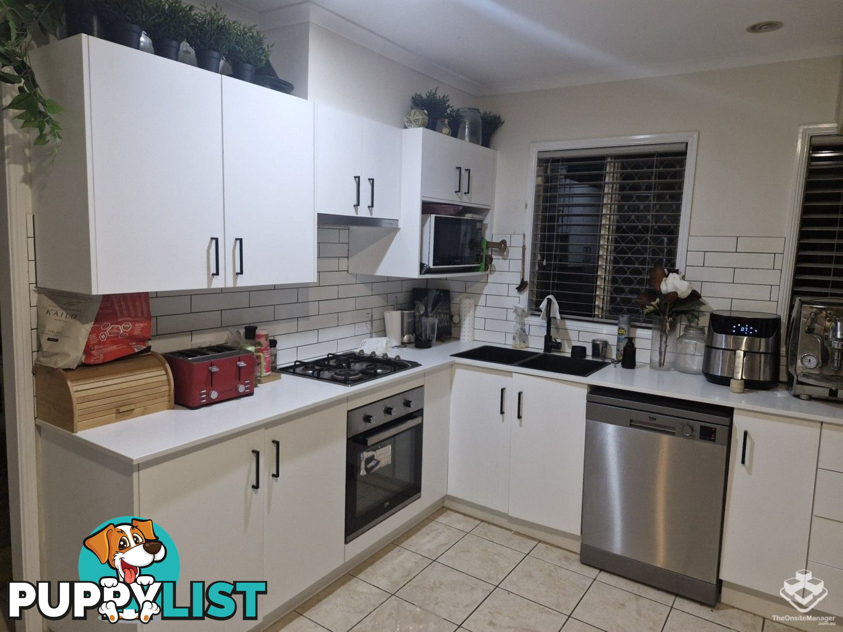 ID:21155288 139 Pring Street Hendra QLD 4011