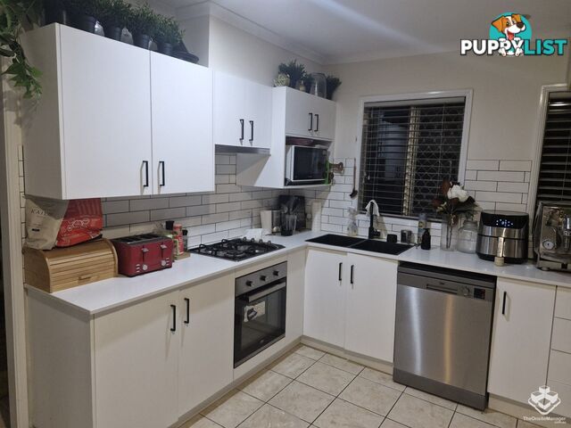 ID:21155288 139 Pring Street Hendra QLD 4011