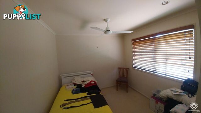 ID:21155288 139 Pring Street Hendra QLD 4011