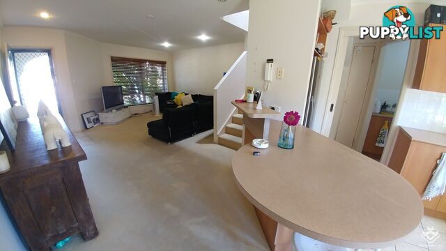 ID:21155288 139 Pring Street Hendra QLD 4011