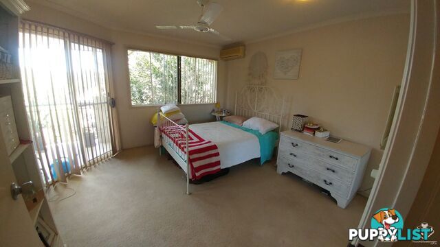 ID:21155288 139 Pring Street Hendra QLD 4011