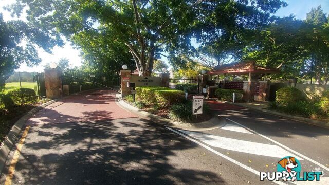 ID:21155288 139 Pring Street Hendra QLD 4011