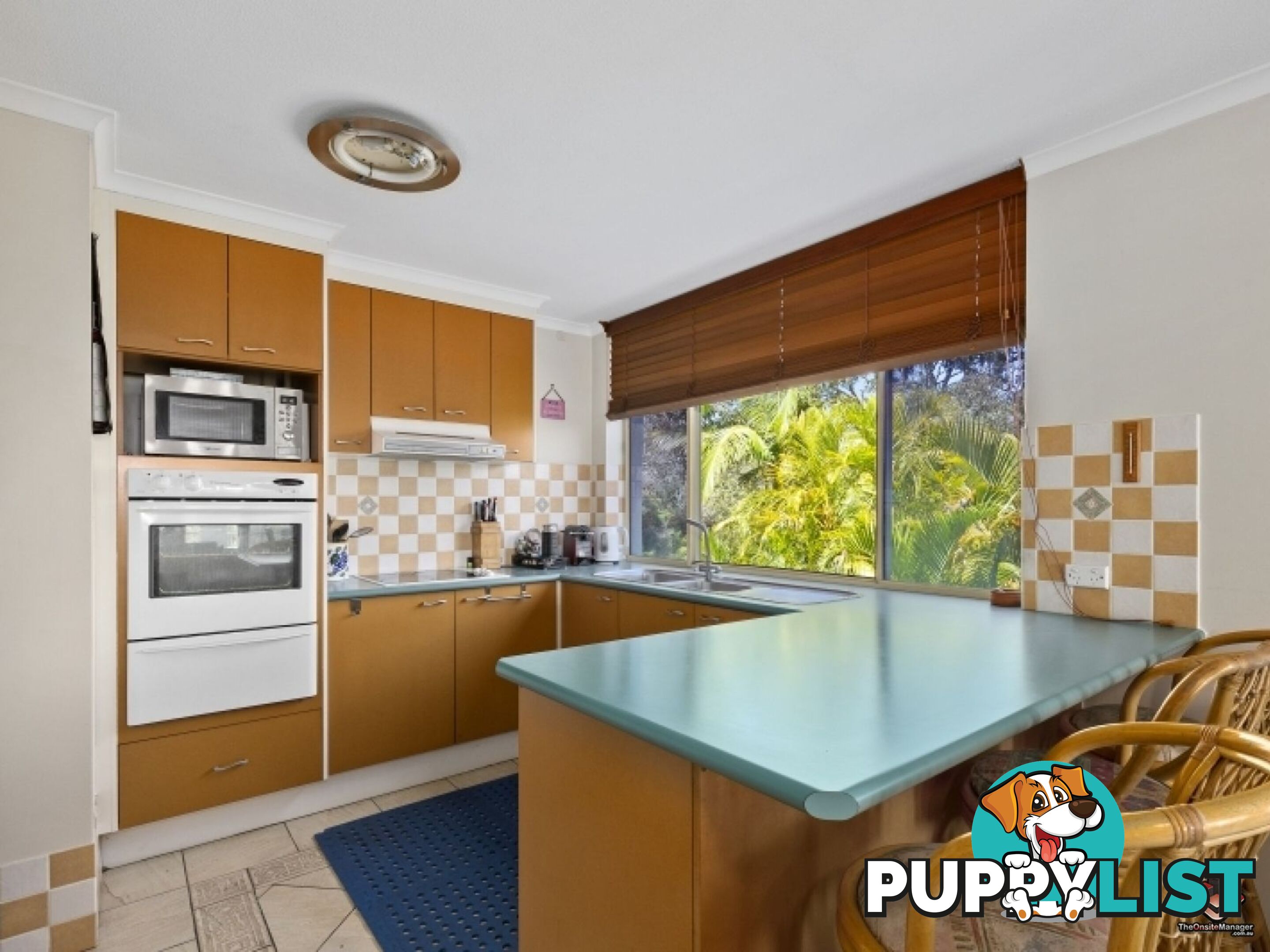 38 Duringan Street Currumbin QLD 4223
