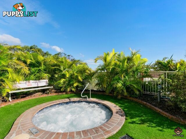 38 Duringan Street Currumbin QLD 4223