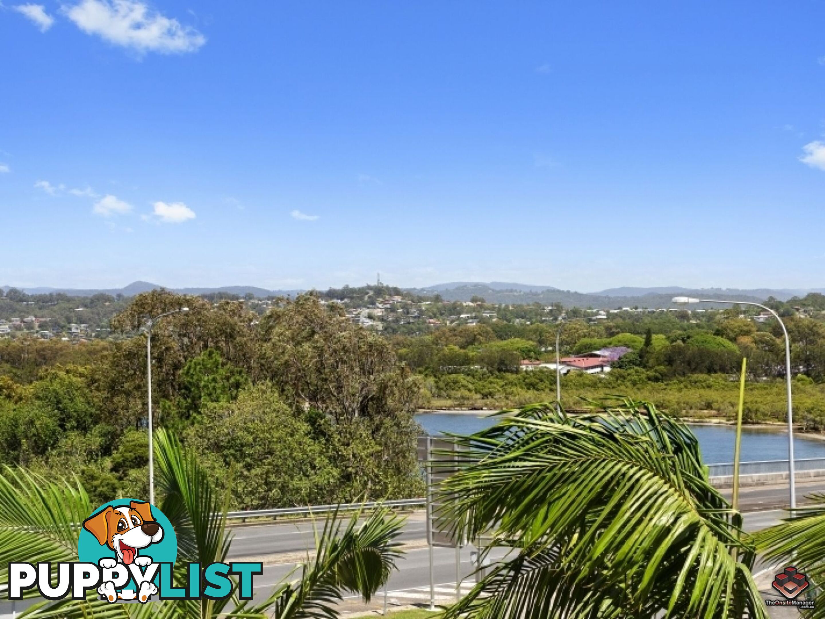 38 Duringan Street Currumbin QLD 4223