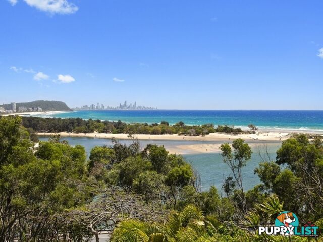 38 Duringan Street Currumbin QLD 4223