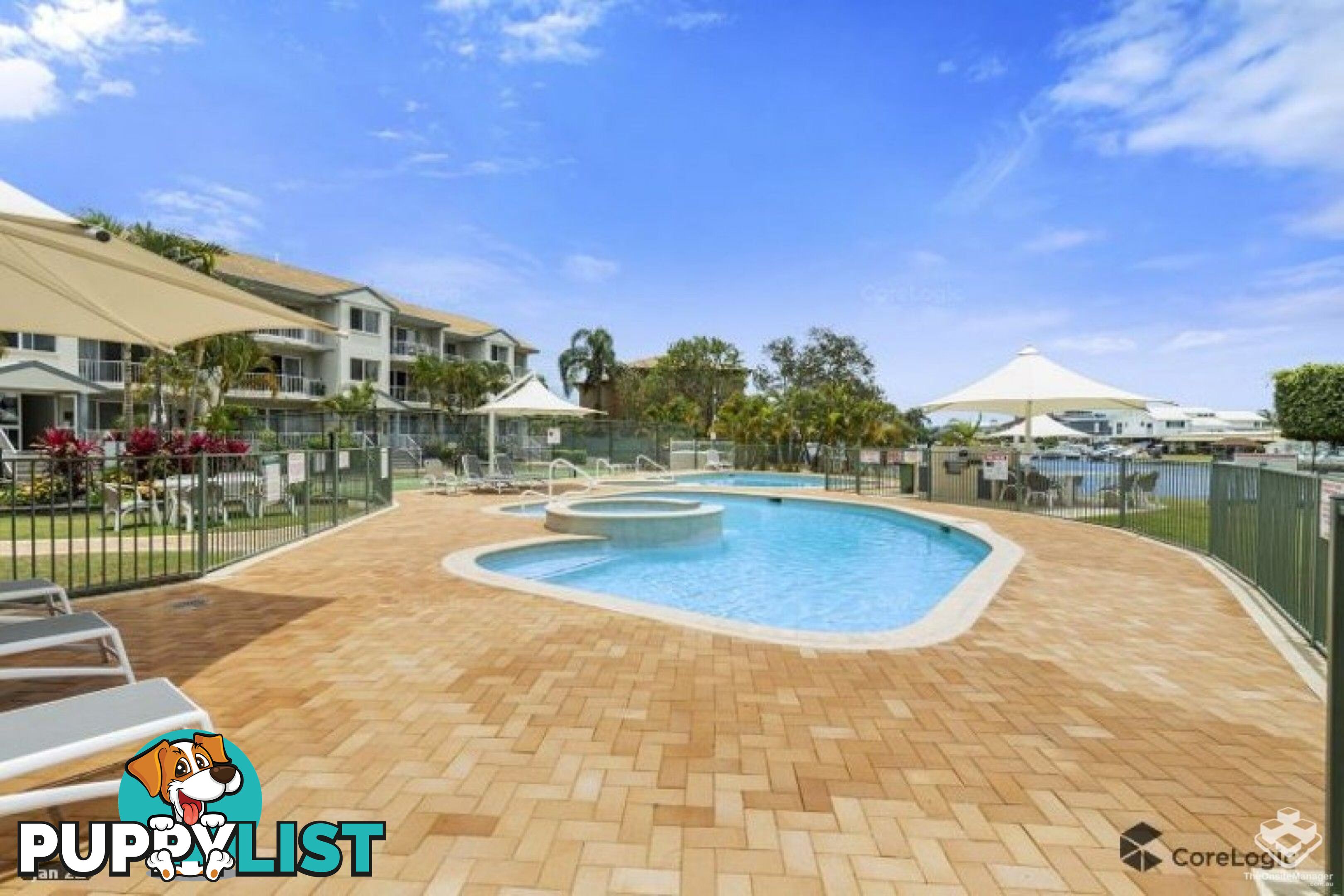 ID:21115455 6 Back Street Biggera Waters QLD 4216