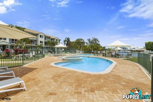 ID:21115455 6 Back Street Biggera Waters QLD 4216