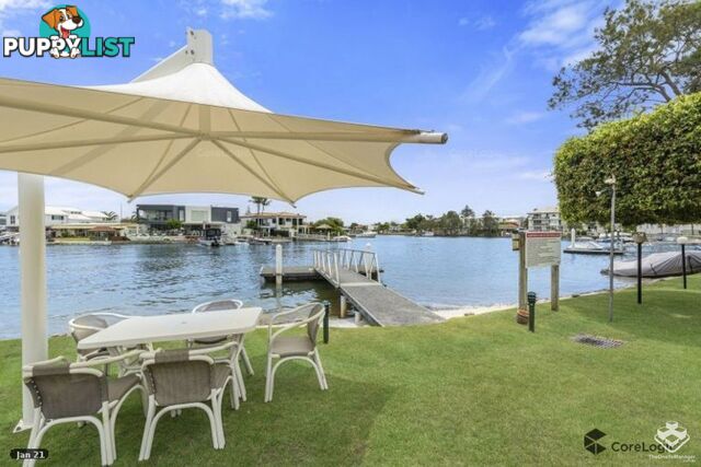 ID:21115455 6 Back Street Biggera Waters QLD 4216