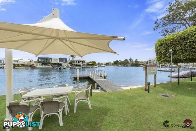 ID:21115455 6 Back Street Biggera Waters QLD 4216