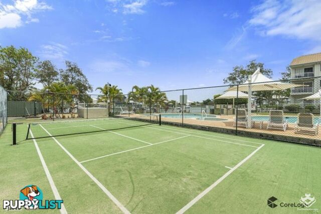 ID:21115455 6 Back Street Biggera Waters QLD 4216