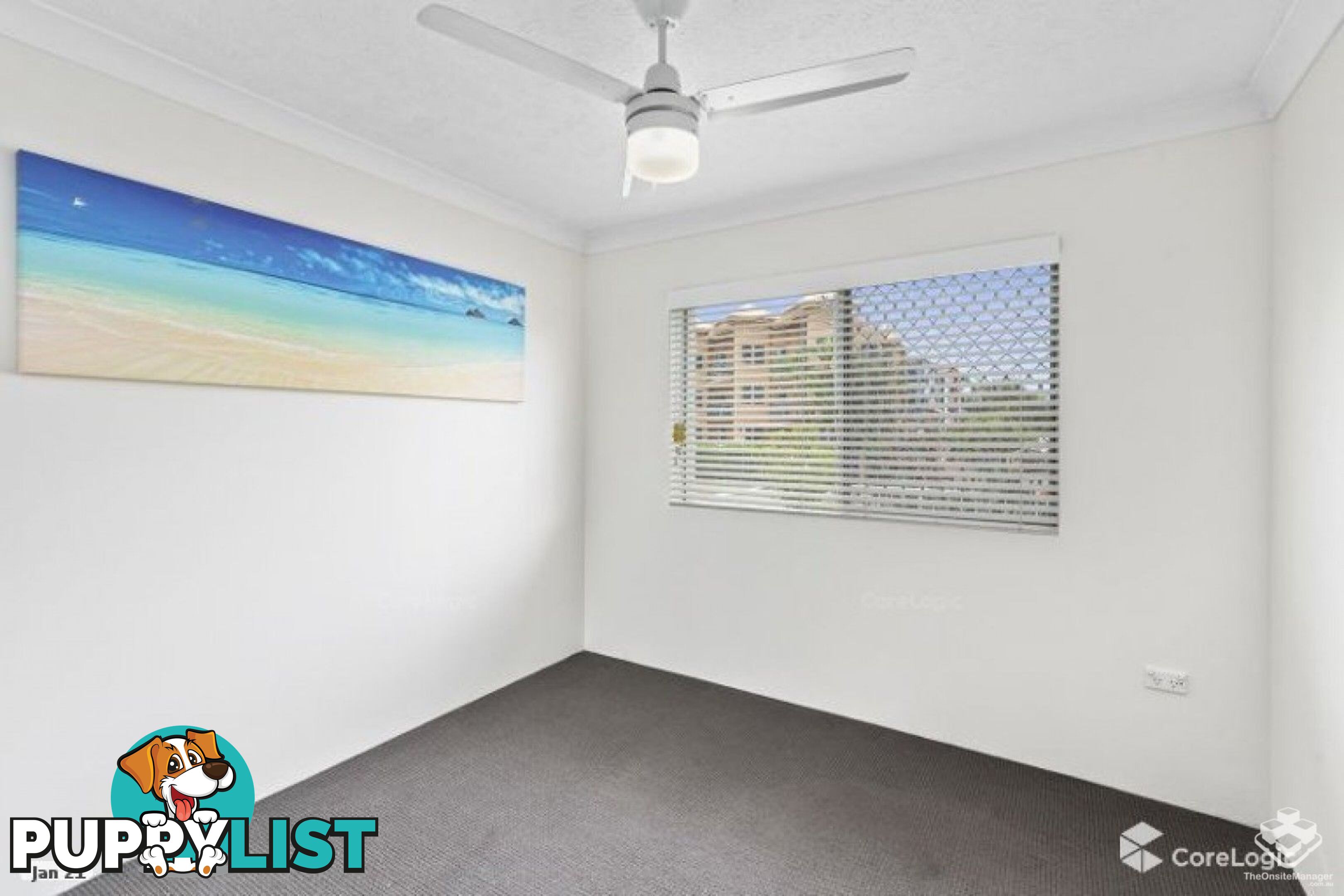 ID:21115455 6 Back Street Biggera Waters QLD 4216
