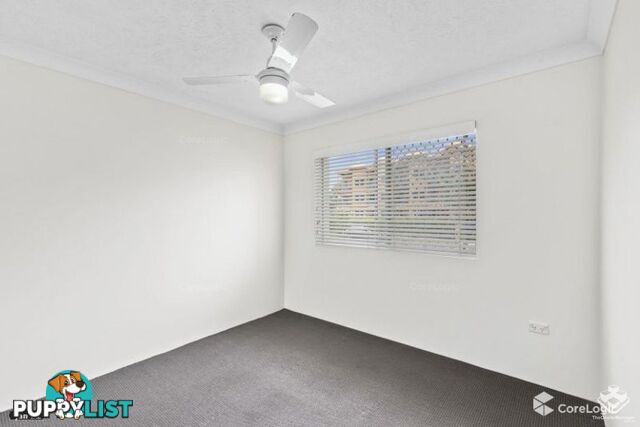 ID:21115455 6 Back Street Biggera Waters QLD 4216