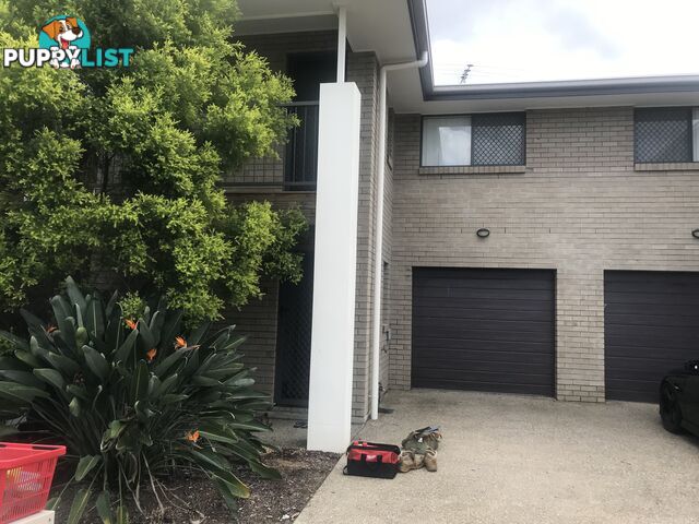 U68/11 Dasheng Street Doolandella QLD 4077