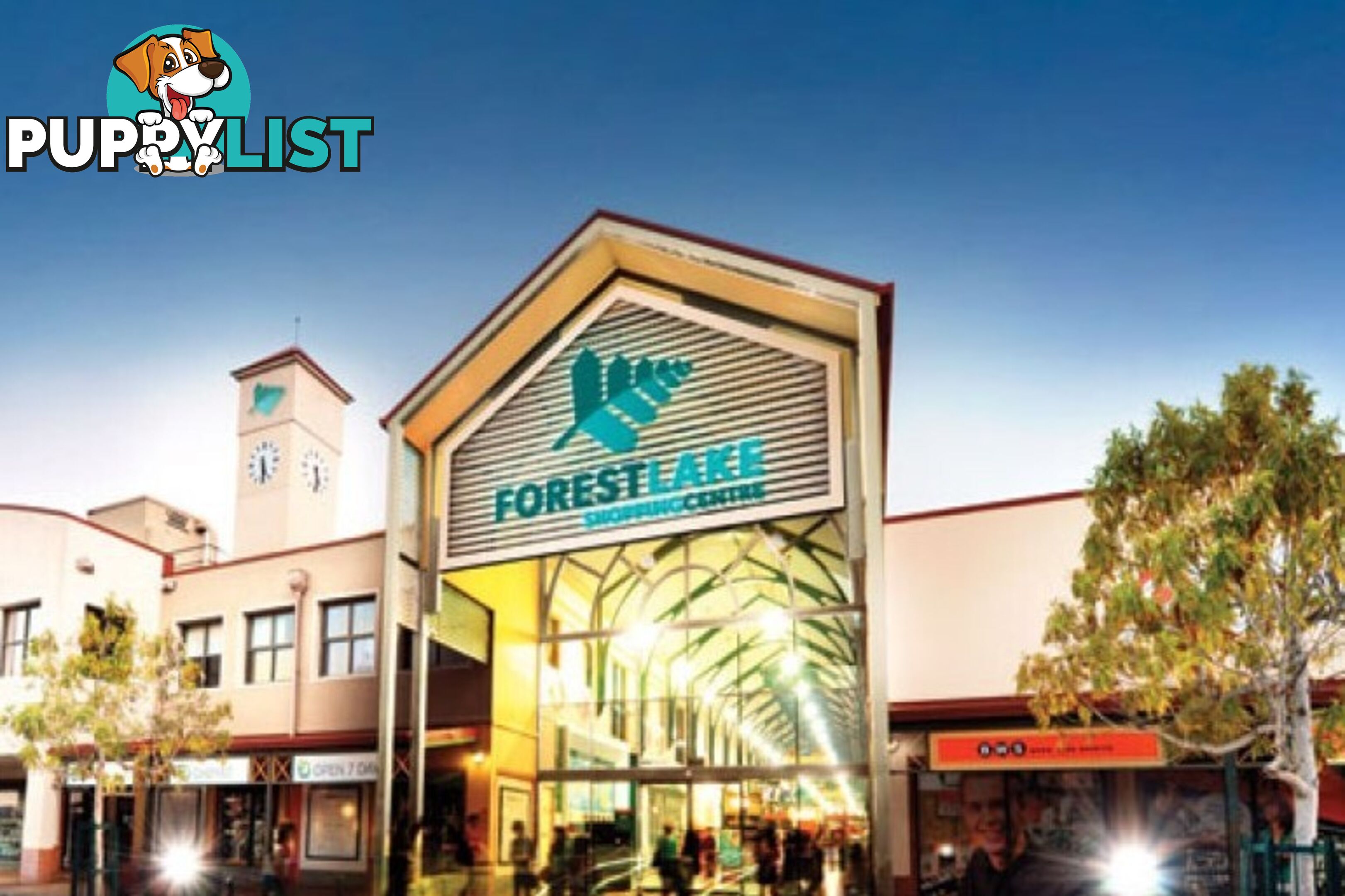 U68/11 Dasheng Street Doolandella QLD 4077
